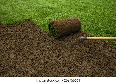 Gardener applying turf rolls in the backyard