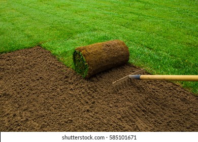 Gardener applying turf rolls in the backyard - Shutterstock ID 585101671