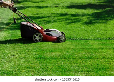 Gardener By Electric Lawn Mower Cutting Green Grass In The Garden. Garden Meadow Lawn Cutting. Worker Guy Trimmed Grass Field. Backyard Care Concept.