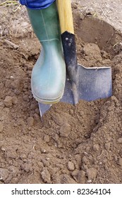 Gardener Digging With Garden Spade In Black Earth Soil