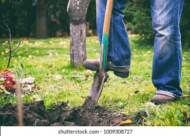 Gardener digging in a garden with a spade. Man using a big shovel for digging old lawn. Soil preparing for planting in spring.