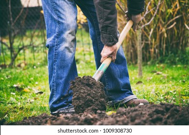 Gardener digging in a garden with a spade. Man using a big shovel for digging old lawn. Soil preparing for planting in spring. Hands in motion.