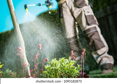 Gardener Fighting Insects In The Garden By Insecticide Whole Backyard Garden.