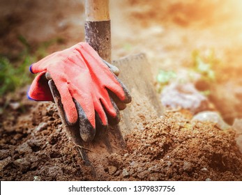 gardener gloves on shovel in garden. planting in spring. Close-up with shallow dof. - Powered by Shutterstock