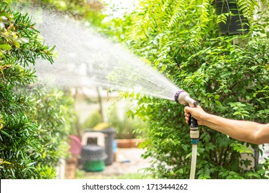 Gardener holding hand hose sprayer and watering plants in garden. - Powered by Shutterstock