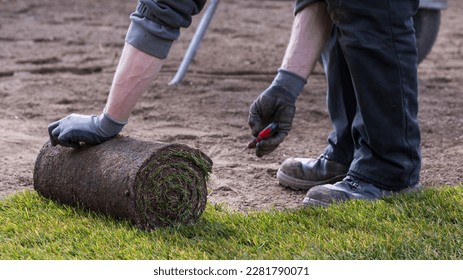 Gardener lays new sod or turf for lawn in spring time - landscaping, greening - Shutterstock ID 2281790071