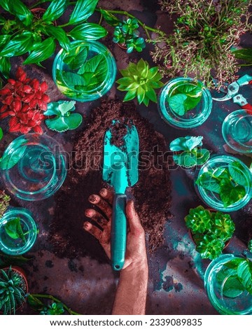 Gardener man holding shovel, trowel with plants around