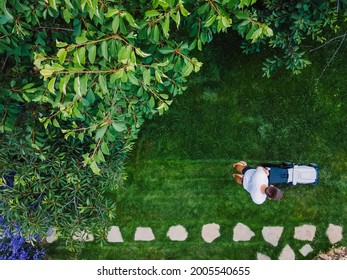 Gardener mowing backyard garden grass using Cordless electric grass mower. Aerial View. Gardening and landscaping.