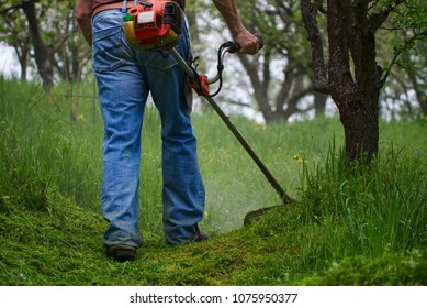 Gardener mowing grass by brushcutter in garden. Man cutting grass using gasoline brush cutter. 