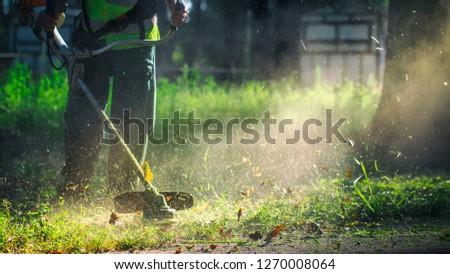 The gardener mows weeds. small parts of vegetation scatter in different directions