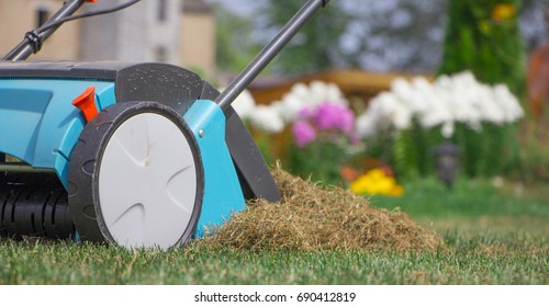 Gardener Operating Soil Aeration Machine On Grass Lawn.