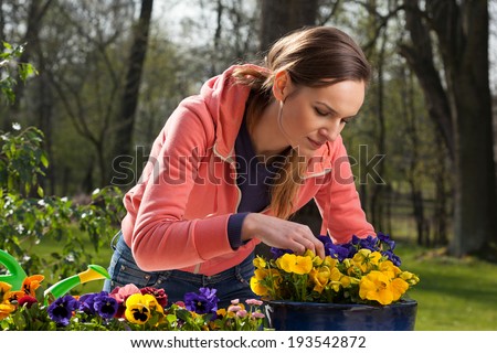 Similar – Image, Stock Photo pansies Pansy