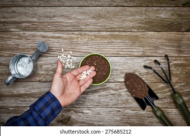 A Gardener Planting Seeds In A Pot Of Soil