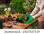 gardener plants flowers in the garden close-up, garden care, gardening concept