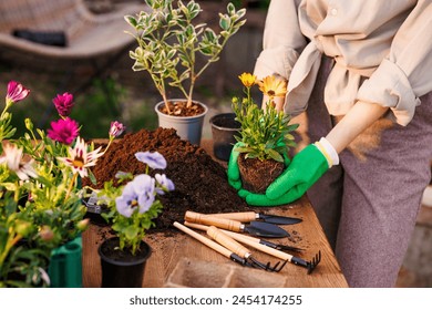 gardener plants flowers in the garden close-up, garden care, gardening concept - Powered by Shutterstock