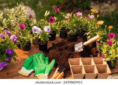 gardener plants flowers in the garden close-up, garden care, gardening concept - Powered by Shutterstock