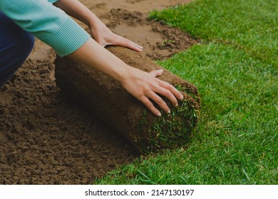 Gardener preparing land and applying turf rollers - Shutterstock ID 2147130197