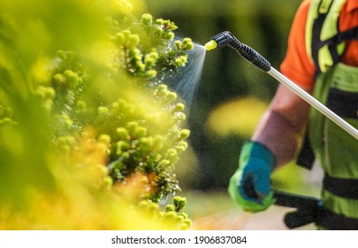 Gardener with Professional Insecticide Fertilizer Equipment. Worker Spraying Trees Close Up Photo.