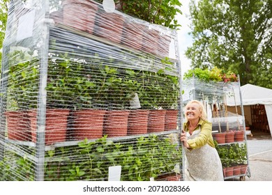 Gardener pushes a shelf trolley with flowers and plants under plastic wrap - Powered by Shutterstock