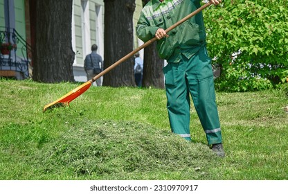 Gardener raking cutted grass with plastic rake, close up. Municipal worker cleaning garbage and mowed grass from green lawn with rake. Man raking mowed grass in the garden. Lawn care service - Shutterstock ID 2310970917
