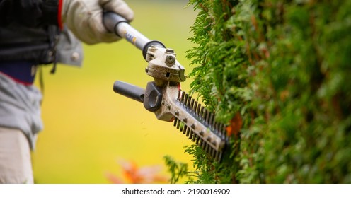Gardener services. Cutting a hedge of evergreens. Gas or electric trimmer blade, close-up selective focus. Trims the thuja bush. - Shutterstock ID 2190016909