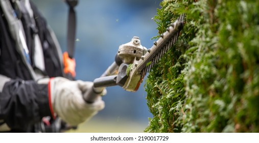 Gardener services. Cutting a hedge of evergreens. Gas or electric trimmer blade, close-up selective focus. Trims the thuja bush. - Shutterstock ID 2190017729