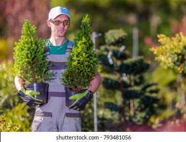 Gardener Shopping Time In The Local Garden Department Store. Caucasian Men In His 30s Buying Two Trees For His Garden Project.