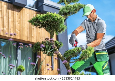 A gardener skillfully prunes a Bonsai tree in a modern backyard, surrounded by vibrant flowers under a clear blue sky. - Powered by Shutterstock