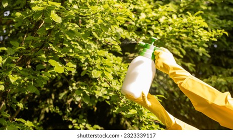 The gardener sprays apple tree in the garden with a spray bottle. Pest control concept. Caring for garden plants. - Powered by Shutterstock