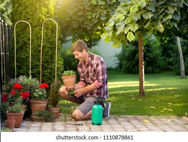 Gardener taking care of plants in flower pots in garden. Man uproot weed from ground - Powered by Shutterstock