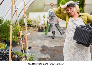 Gardener Team Repotting Flowers In The Nursery Or In The Garden Center