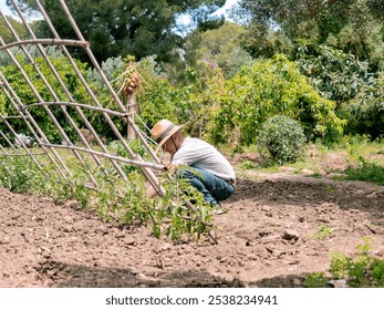 Gardener Tending Plants in Sunny Garden - Powered by Shutterstock