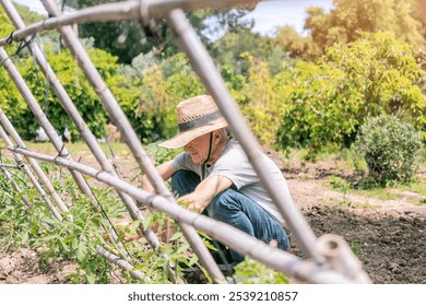 Gardener Tending Plants in Sunny Garden - Powered by Shutterstock