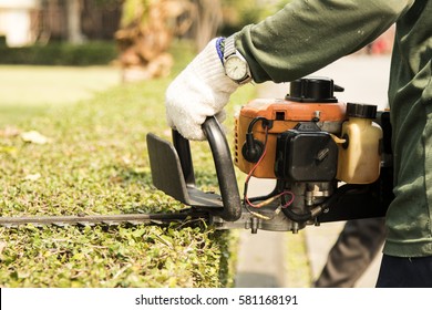 the gardener is trimming branches - Powered by Shutterstock