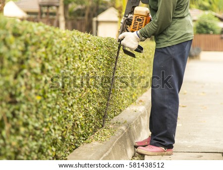 Similar – Image, Stock Photo Hedge pruned Worker air