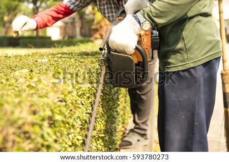 Similar – Image, Stock Photo Hedge pruned Worker air