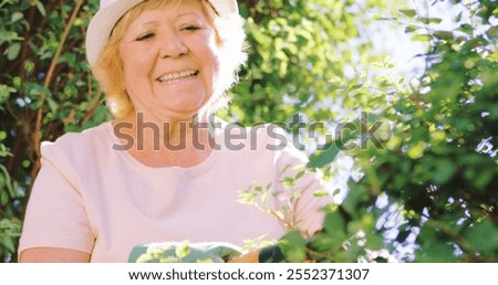 Similar – Image, Stock Photo Hedge pruned Worker air