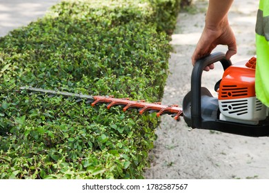 A gardener trims a bush with a brush cutter. Park maintenance