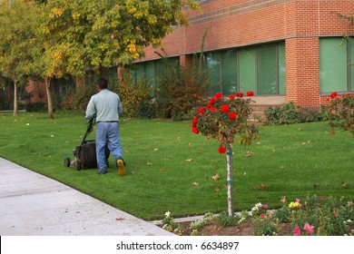 Gardener Uses Rotary Mower On Lawn Of Commercial Property