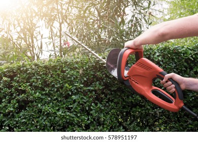 Gardener Using An Hedge Clipper In The Garden