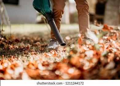 Gardener using leaf blower, vacuum and working in garden