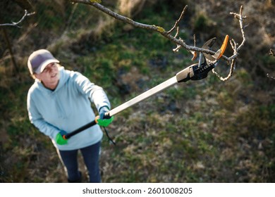 Gardener using long pruning shears for seasonal trimming trees in garden. Woman cutting branch with gardening tool extendable loppers