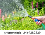 Gardener watering plants in the summer garden.