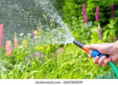 Gardener watering plants in the summer garden. - Powered by Shutterstock