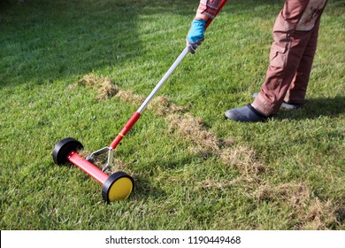 Gardener Woman Dethatching Lawn Roller Moss Stock Photo 1190449468 ...