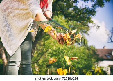 Gardener Woman Raking Up Autumn Leaves In Garden. Woman Cleaning The Rake. Autumnal Work In Garden. 