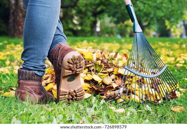 Gardener woman raking up autumn\
leaves in garden. Woman standing with rake. Autumnal work in\
garden. 
