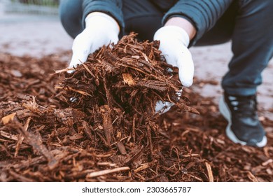 gardener's gloved hands hold garden mulch recycled from tree bark and wood cuts. Natural fertilizer for soil, mulching, recycling of biological waste - Powered by Shutterstock