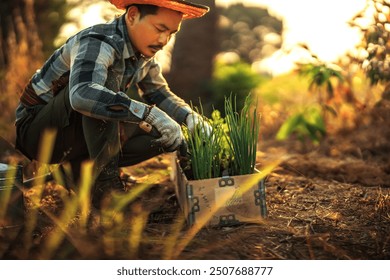 Gardeners are growing scallions and cilantro in pots. - Powered by Shutterstock