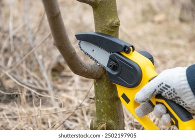 Gardener's hand cuts branch on a tree, with using small handheld lithium battery powered chainsaw. Season pruning. Trimming trees with chainsaw in backyard home. Season cut tree. Close up.